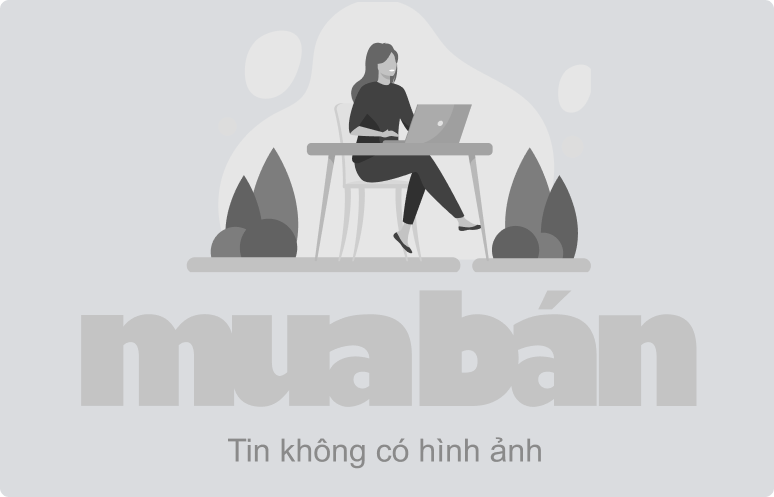 Overview about Mcredit - Công ty Tài chính TNHH MB Shinsei Được thành 